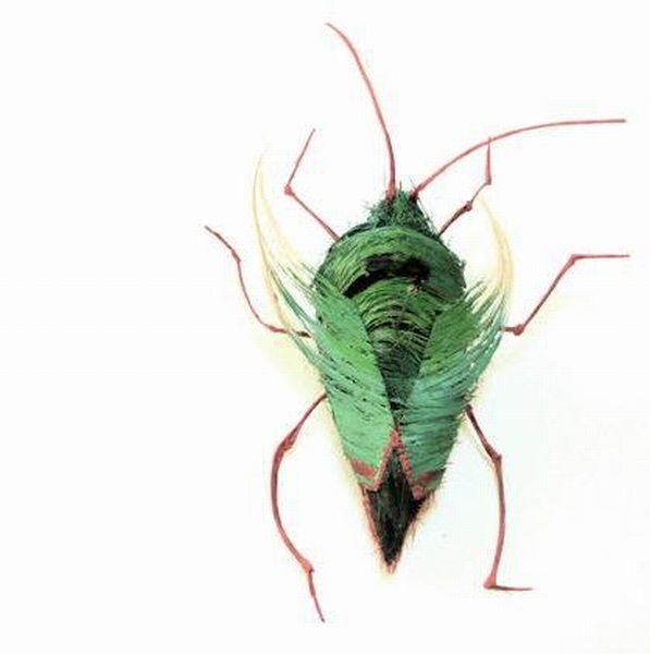 Insects out of human hair by Adrienne Antonson