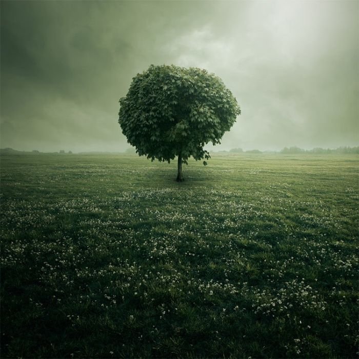 Manipulated photography by Leszek Bujnowski