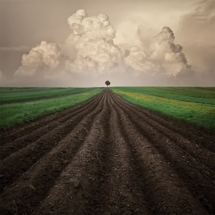 Manipulated photography by Leszek Bujnowski