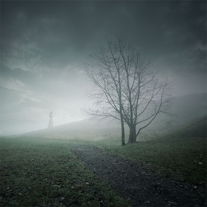 Manipulated photography by Leszek Bujnowski