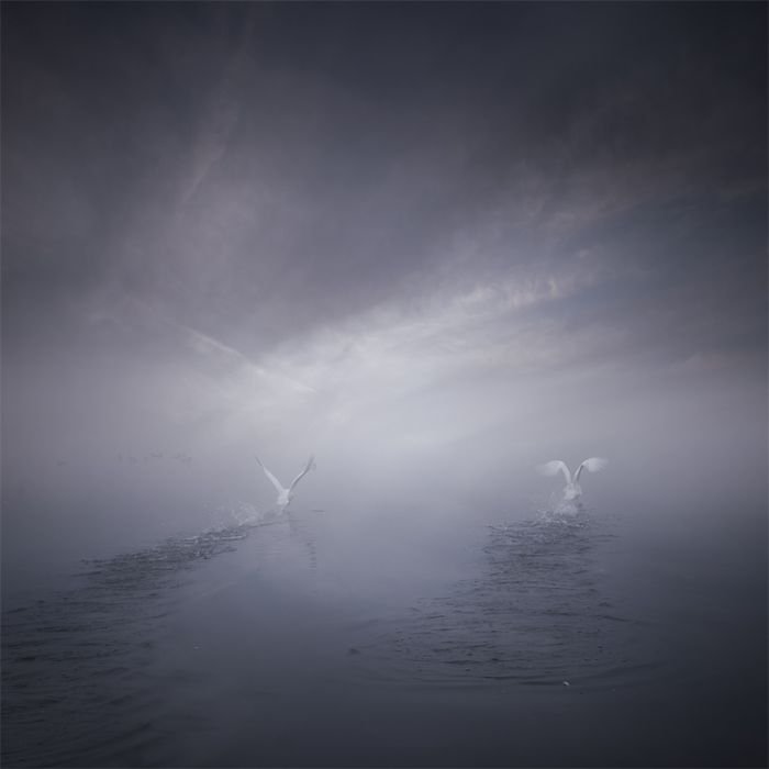 Manipulated photography by Leszek Bujnowski