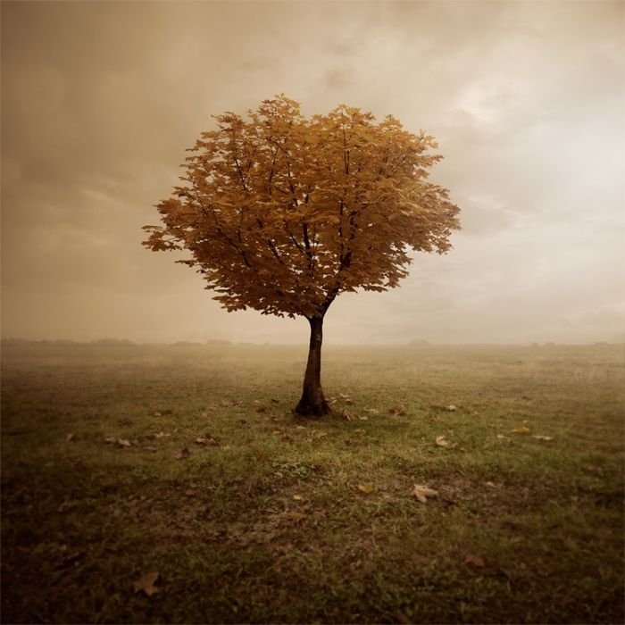 Manipulated photography by Leszek Bujnowski