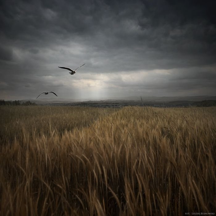 Manipulated photography by Leszek Bujnowski