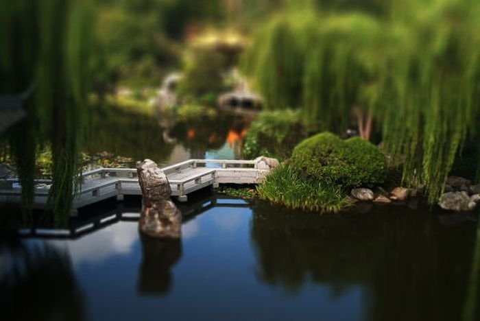 tilt-shift photography