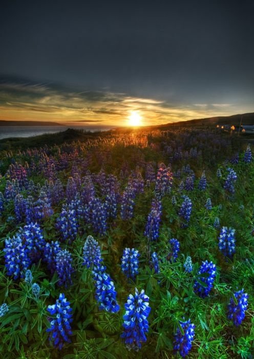 HDR photography