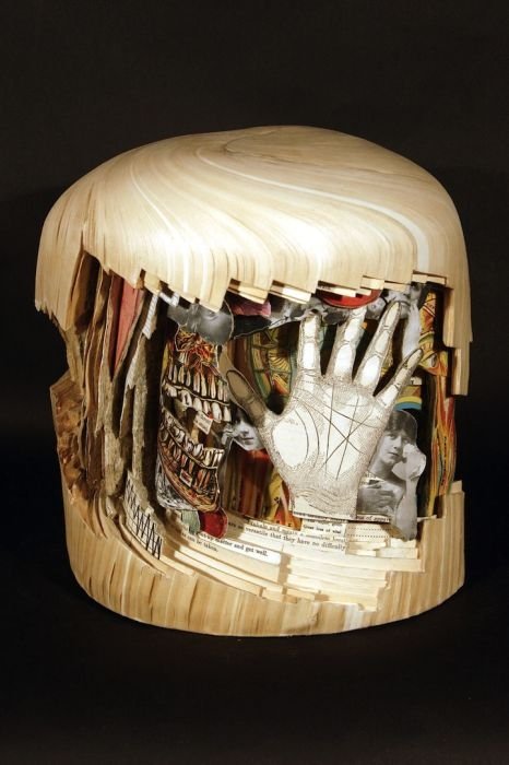 Book surgeon by Brian Dettmer