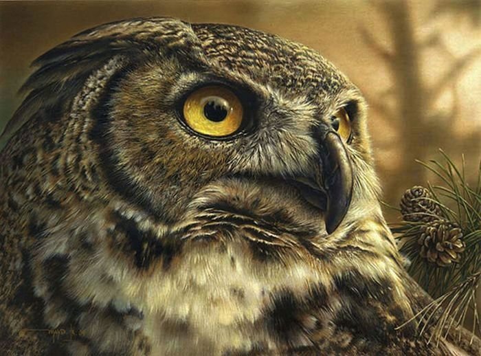 Wildlife paintings by Denis Mayer jr.