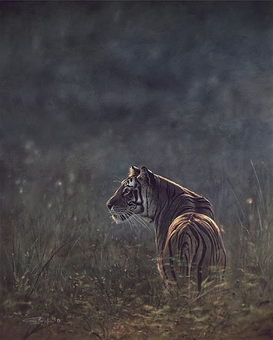 Wildlife paintings by Denis Mayer jr.