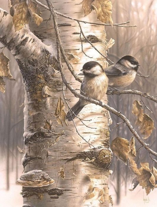 Wildlife paintings by Denis Mayer jr.