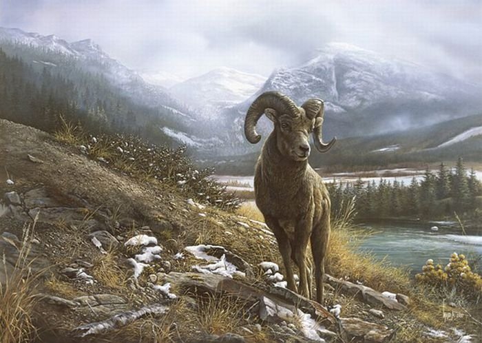 Wildlife paintings by Denis Mayer jr.