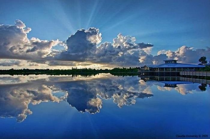 reflections in water