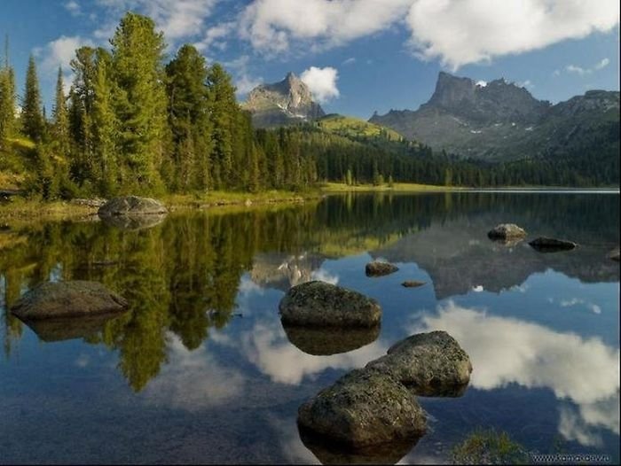 reflections in water