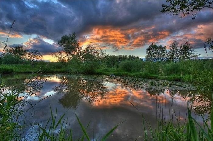 reflections in water