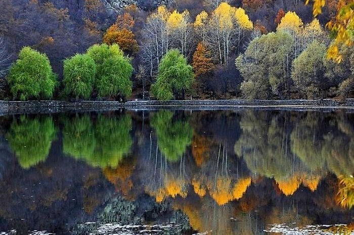 reflections in water