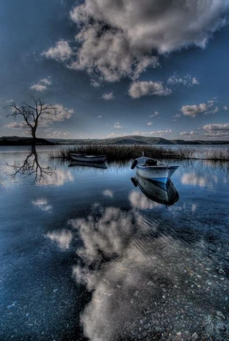 reflections in water