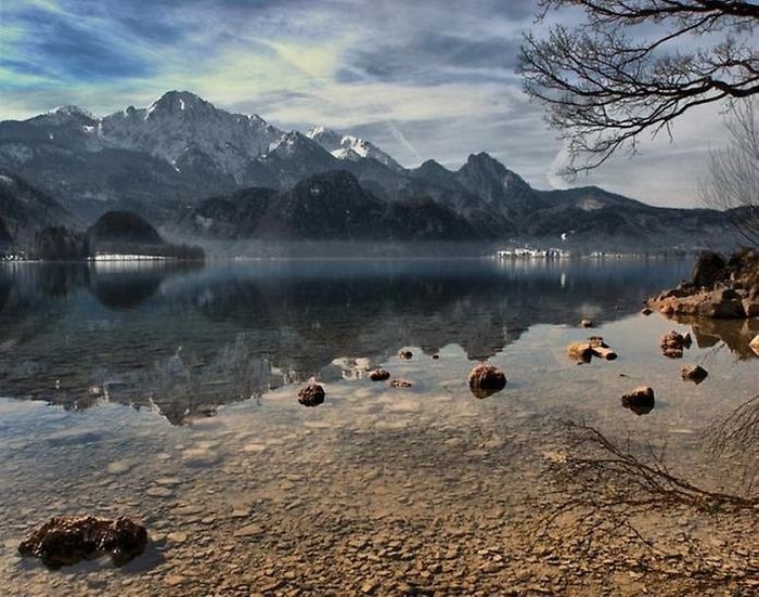 reflections in water