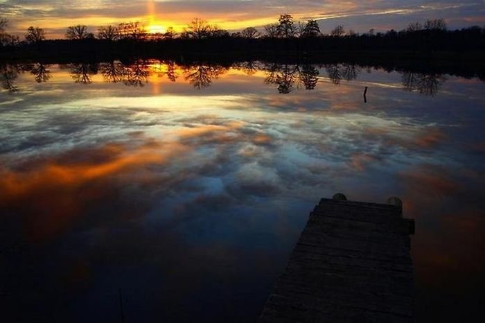 reflections in water