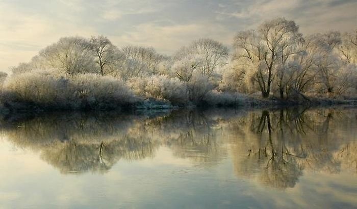 reflections in water