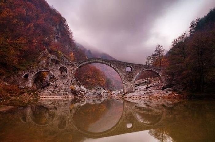 reflections in water