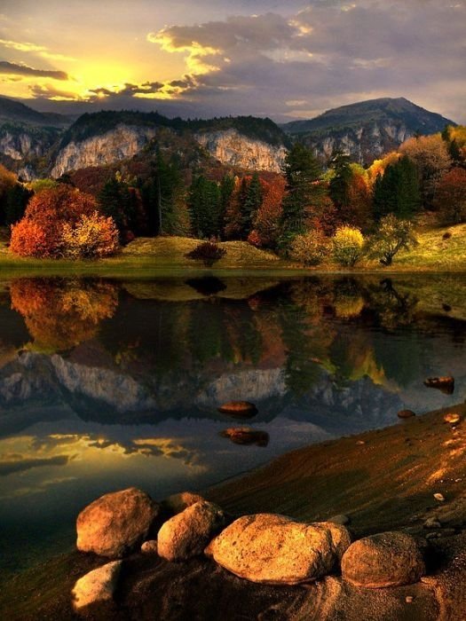 reflections in water