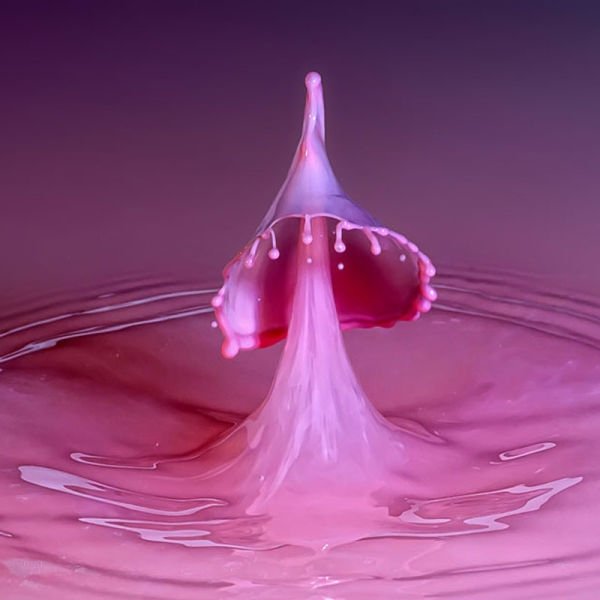 water drops high-speed photography