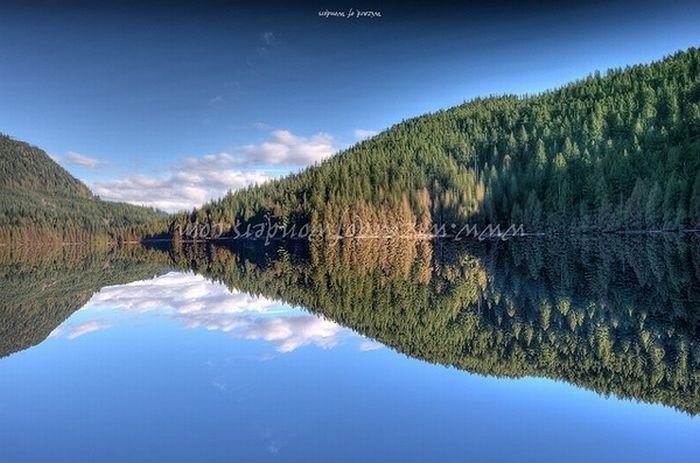 reflection in water