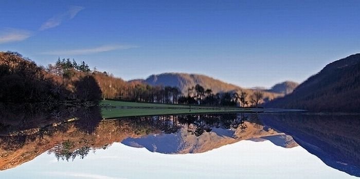reflection in water