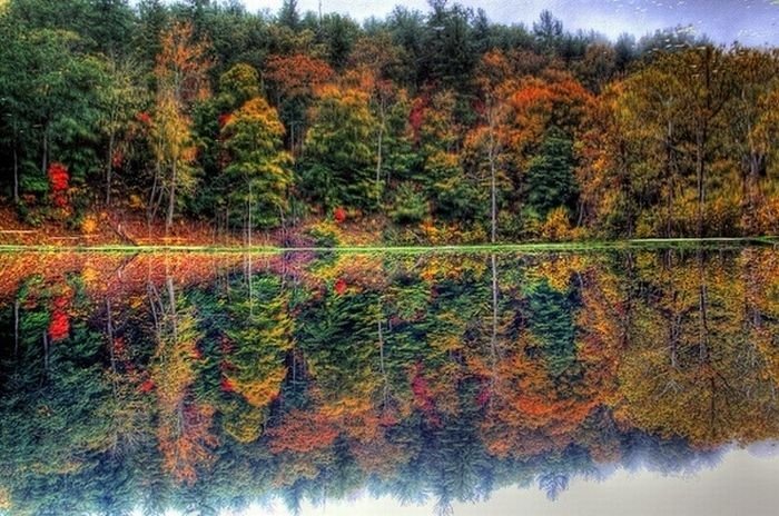 reflection in water