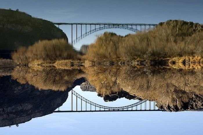 reflection in water