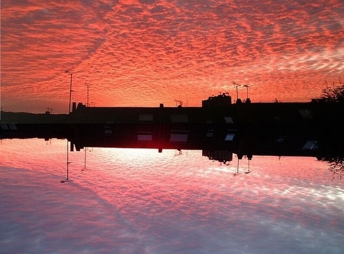 reflection in water