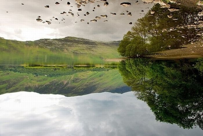 reflection in water