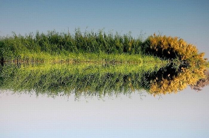 reflection in water