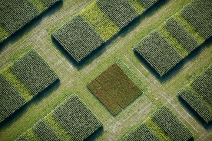 Aerial photography by Cameron Davidson