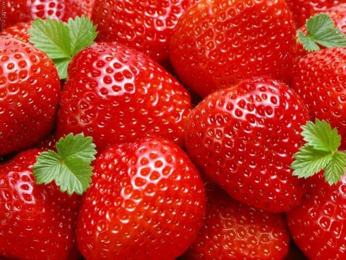 macro photography