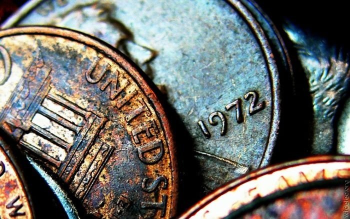 macro photography