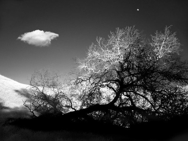 black and white landscape photography