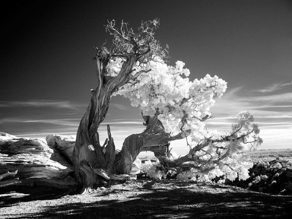 black and white landscape photography