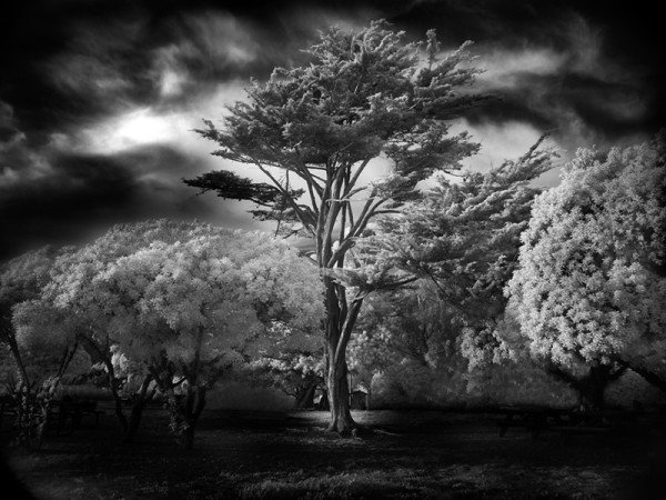 black and white landscape photography