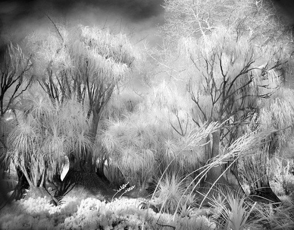 black and white landscape photography