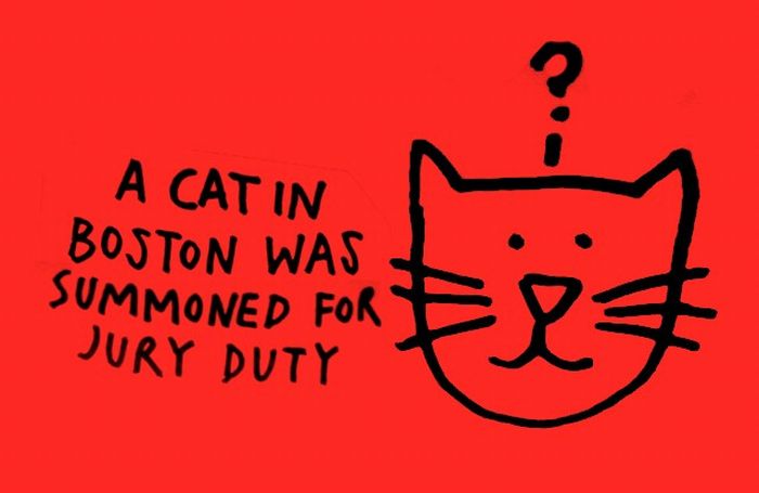 interesting facts project