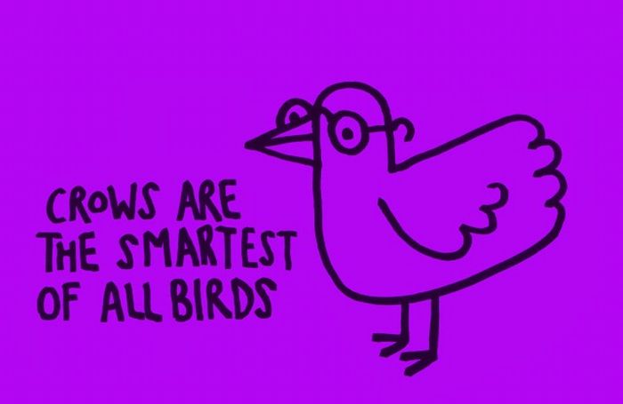 interesting facts project