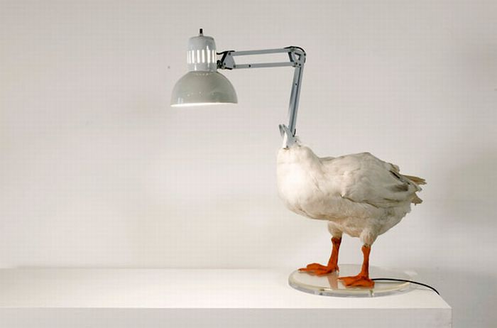 Product ideas by Sebastian Errazuriz