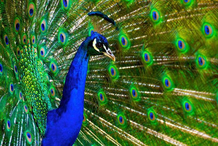 HDR photography