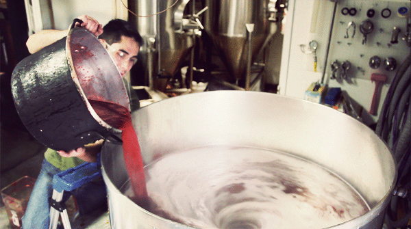 Cinemagraph of strawberry beer brewing by Jamie Beck & Kevin Burg