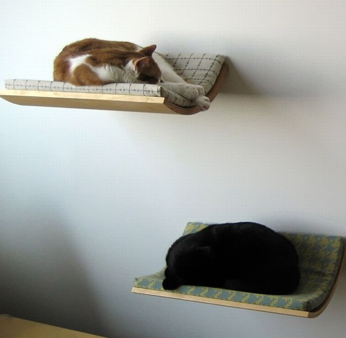 unusual bed design