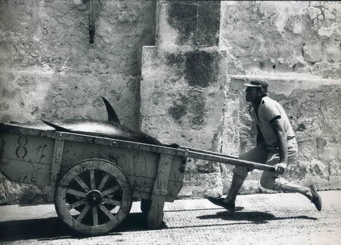 Documentary photos by Leonard Freed