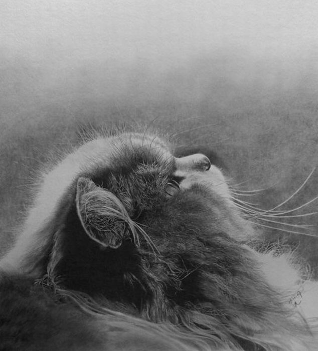 Pencil drawing by Paul Lung