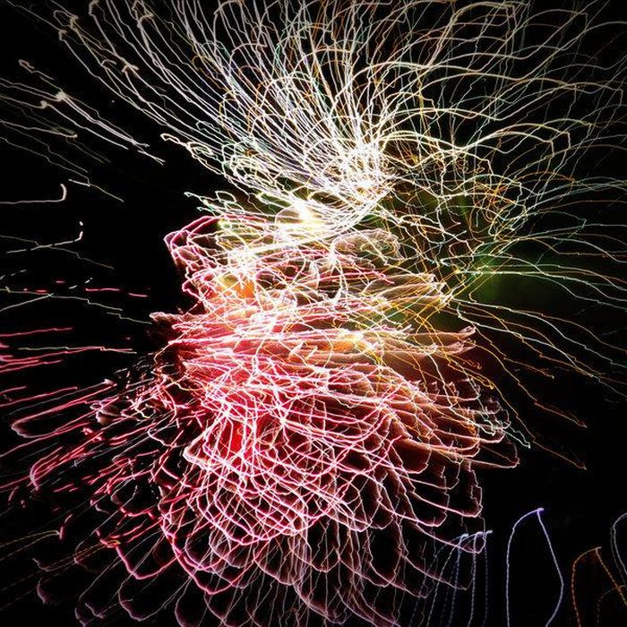 fireworks photography