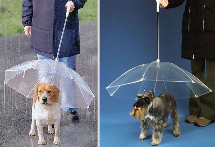 creative umbrella