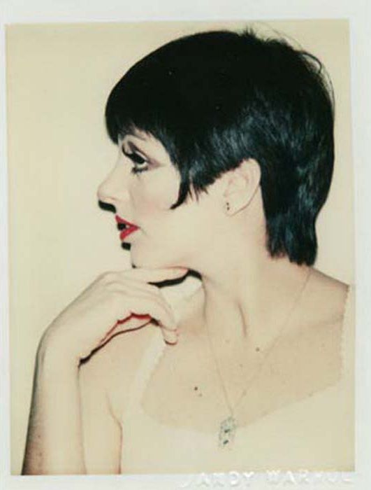 Celebrity photography by Andy Warhol